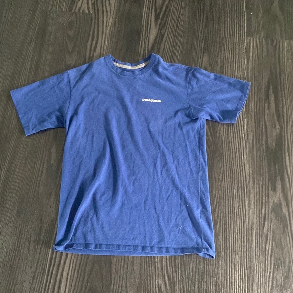 🍍PATAGONIA T SHIRT🍍SIZE XS🍍D-1